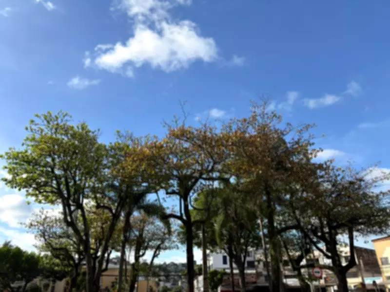 Meteorologista afirma que chuvas de fevereiro foram 'atípicas' e não ocorriam há 40 anos em Juiz de Fora