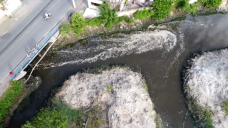 Milhares de peixes mortos no Rio Imaruim em Palhoça: IMA investiga causas