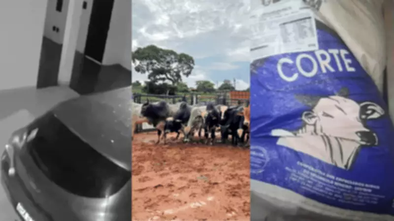 Mistério de carro que andou sozinho em Uberlândia é desvendado por mecânico