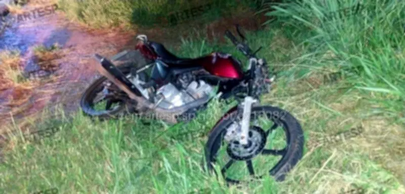 Motociclista morre após colidir com cavalo na SP-215 em Porto Ferreira