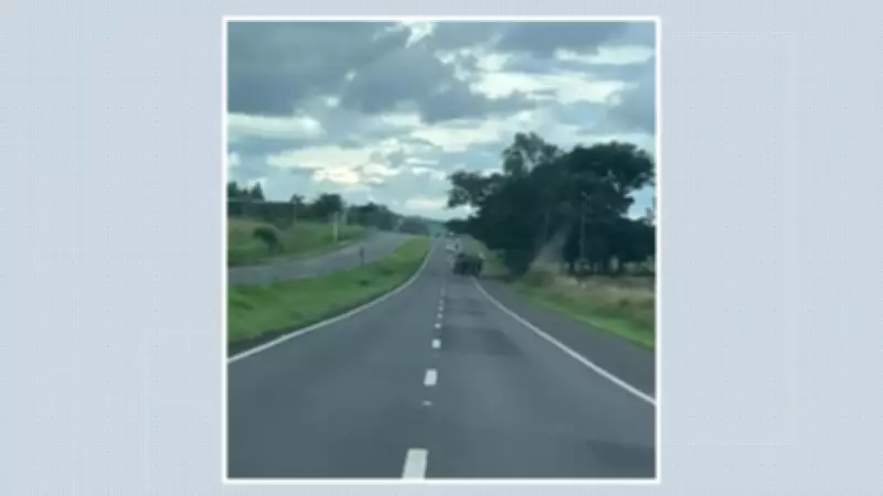 Motorista alcoolizado causa acidentes com caminhão entre Franca e Rifaina e é detido