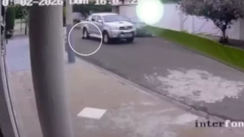 Motorista atropela cachorra três vezes e foge sem socorrer em Cajuru, SP