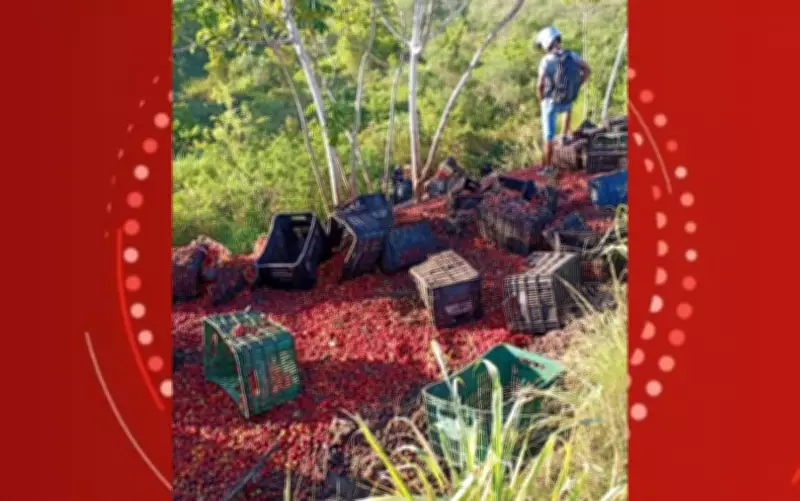 Motorista morre após carreta tombar e cair em ribanceira na Bahia