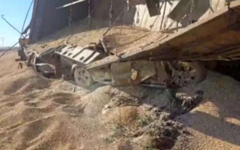 Motorista morre após carro ser esmagado por caminhão de soja em acidente na BR-452, em Goiás