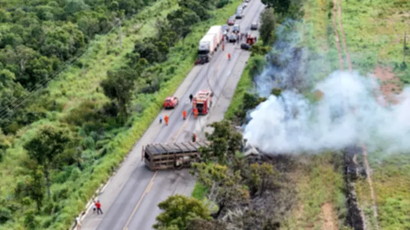 Motorista morre em acidente envolvendo caminhão com mais de 10 bois em Mato Grosso