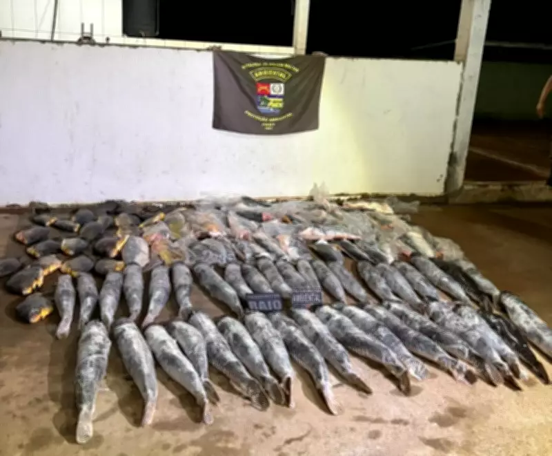 Motorista é preso em Cuiabá com mais de 300 kg de pescado ilegal apreendido