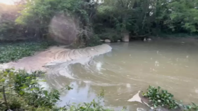 MP-SP pede aumento de multa diária da Sabesp para R$ 100 mil por poluição no Rio Pirapora