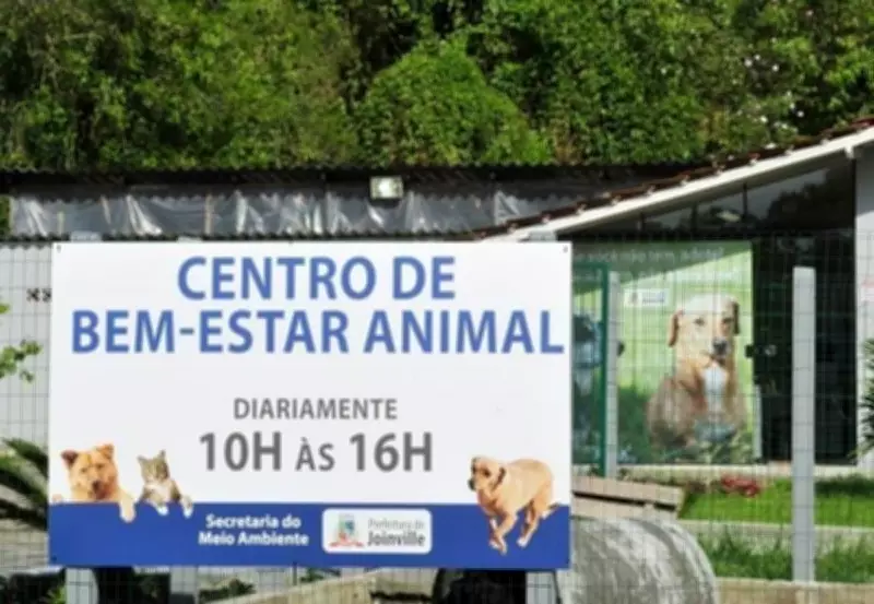 MPSC investiga denúncia de eutanásias irregulares em centro de animais de Joinville