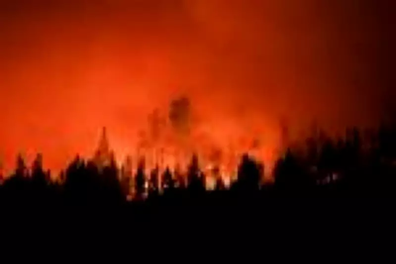 Mudança climática triplica risco de incêndios florestais no Chile e Argentina, alerta estudo