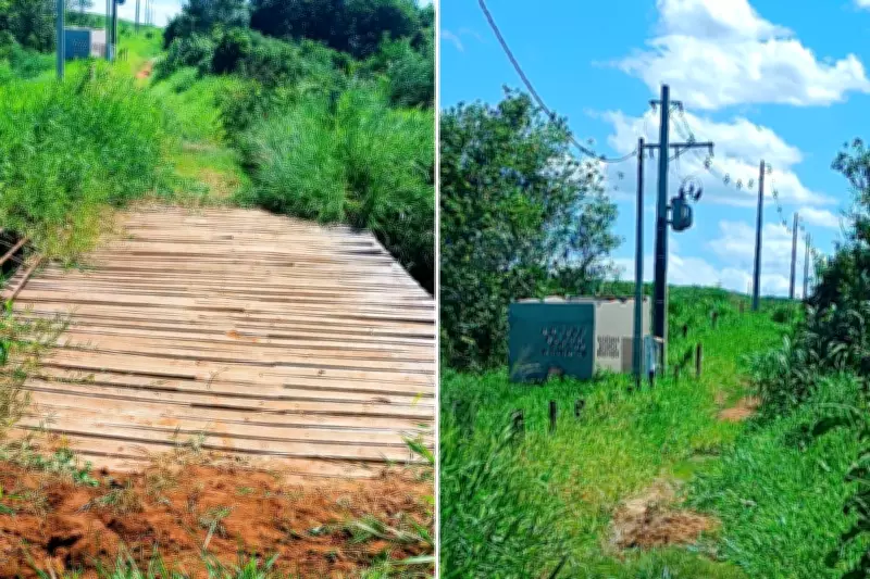 Mulher é multada em quase R$ 4 mil por desmatamento ilegal após monitoramento por satélite em Tupi Paulista