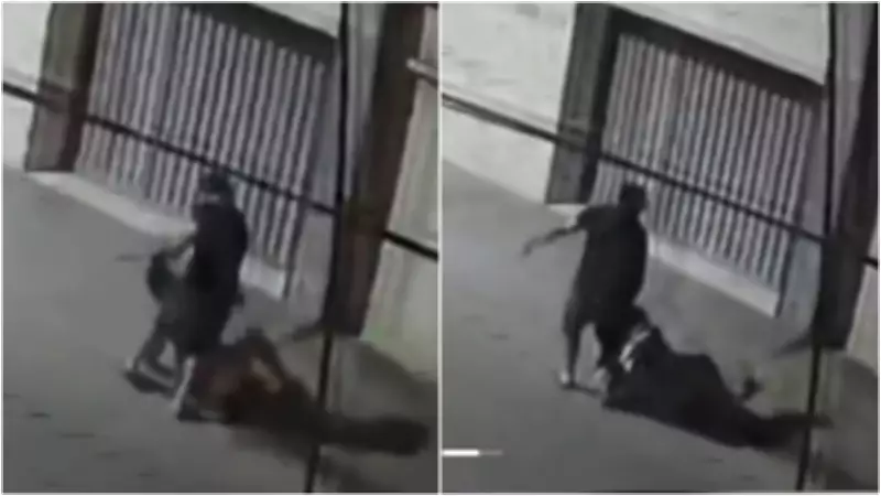 Mulher é agredida por companheiro com socos e puxões em via pública de Fortaleza