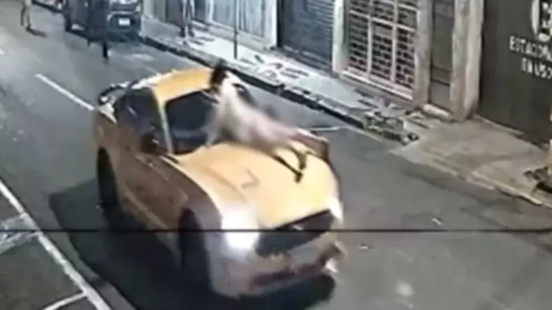Mulher altera depoimento sobre atropelamento por ex-namorado em Ponta Grossa