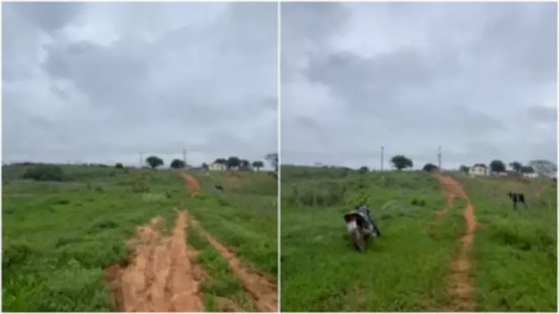 Mulher é resgatada em mata do Ceará após três dias desaparecida ao fugir de agressor violento