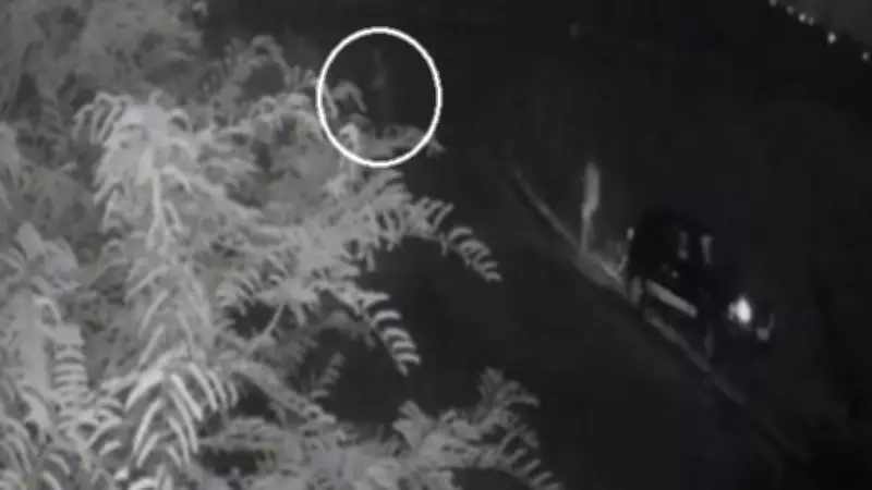 Mulher salta de carro em movimento para fugir de agressões e é salva pela PRF em Itaitinga