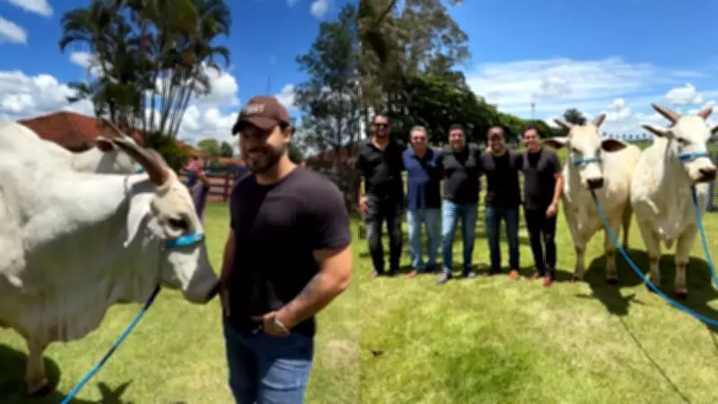 Murilo Huff conhece pessoalmente a vaca mais cara do mundo, avaliada em R$ 54 milhões, em Uberaba