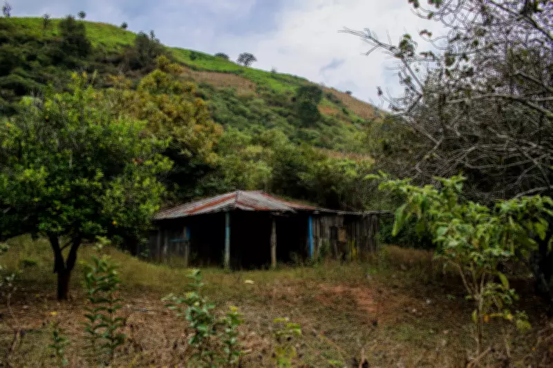 México: Corpo com características de minerador sequestrado é encontrado em Sinaloa