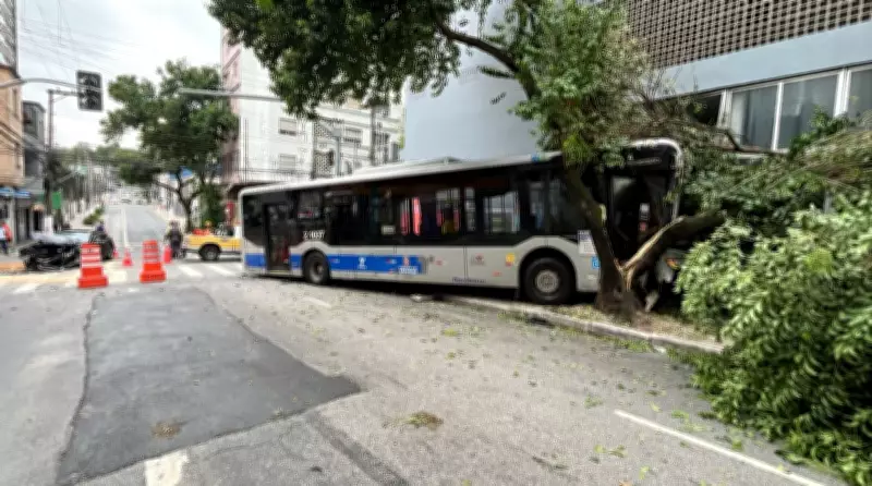 Ônibus parte árvore ao meio em acidente com carro na Zona Oeste de São Paulo; cinco feridos