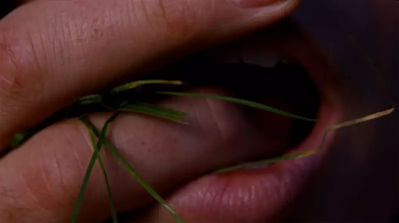 Nova adaptação de 'O Morro dos Ventos Uivantes' subverte clássico com estética exagerada