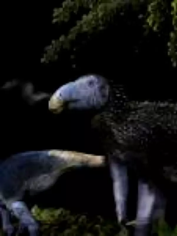 Nova espécie de dinossauro com espinhos ocos é descoberta na China após 125 milhões de anos