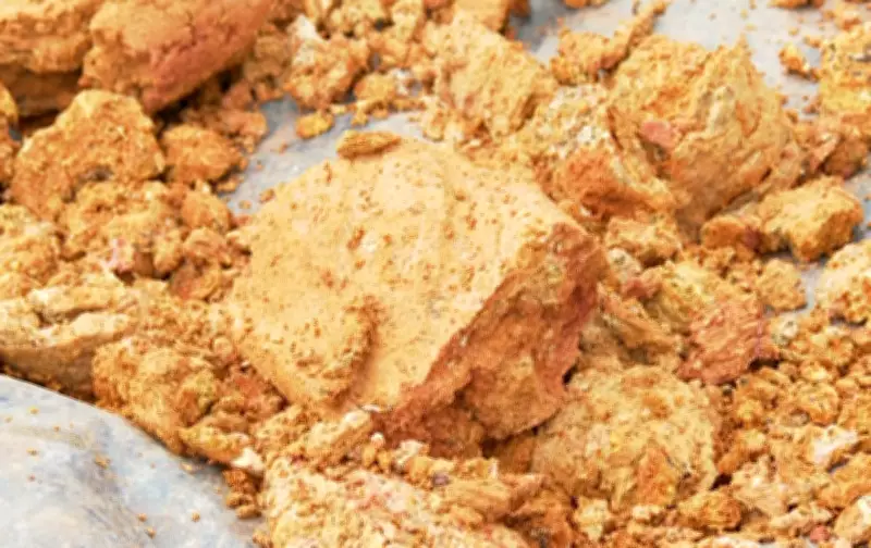 Nova área com potencial para terras raras é descoberta no Sul de Minas Gerais