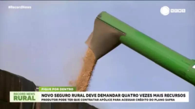 Novo Seguro Rural Pode Exigir Quatro Vezes Mais Recursos dos Produtores