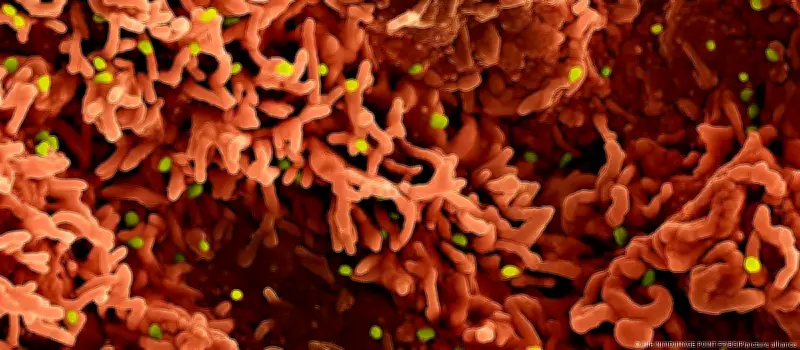 OMS alerta para três vírus em 2026: Oropouche, H5N1 e mpox preocupam especialistas