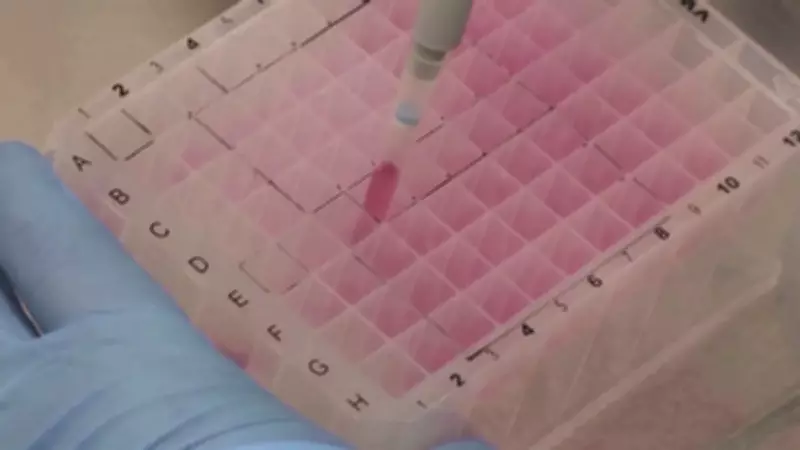 OMS detecta nova variante da Mpox; Porto Alegre confirma primeiro caso e emite alerta