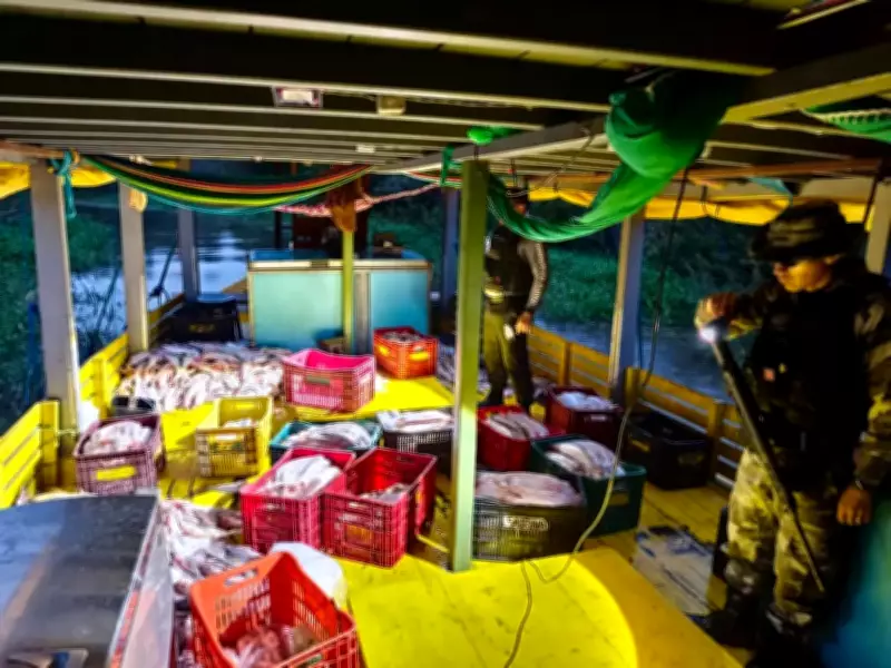 Operação apreende 5 toneladas de mapará ilegal durante defeso no oeste do Pará