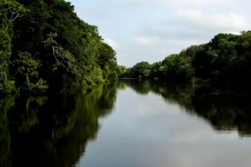 Operação Cardume combate pesca predatória e crimes ambientais na Reserva do Rio Cajari