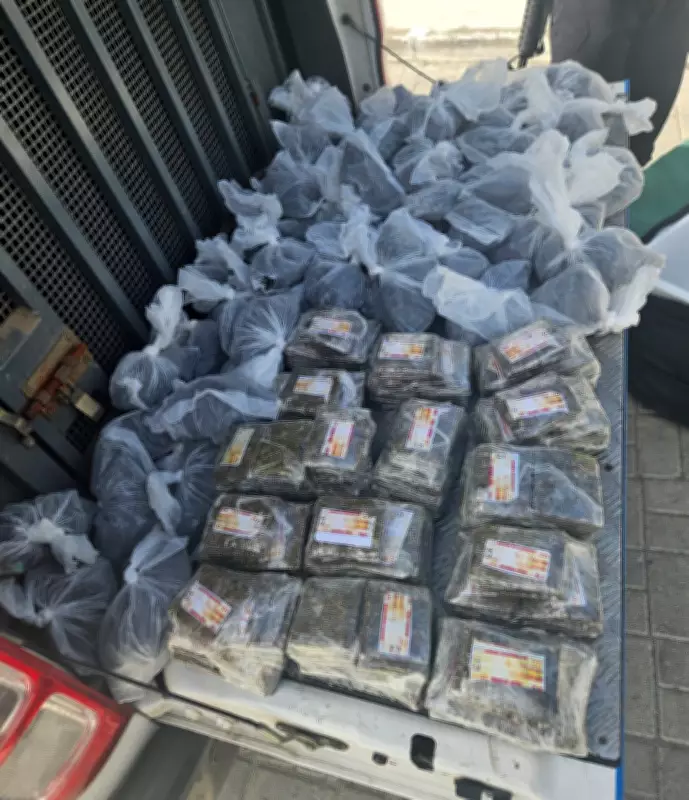 Operação conjunta apreende mais de 2,5 mil porções de drogas em Arraial do Cabo