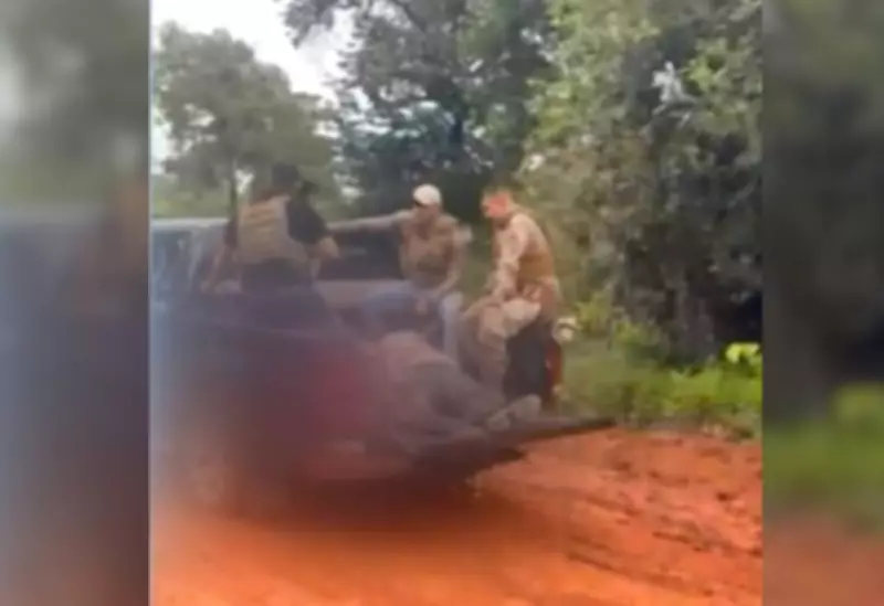 Operação contra tráfico no Tocantins deixa quatro mortos e seis presos