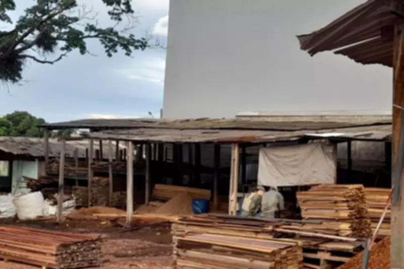 Operação da Polícia Civil desarticula esquema milionário de tráfico de madeira ilegal em Cuiabá