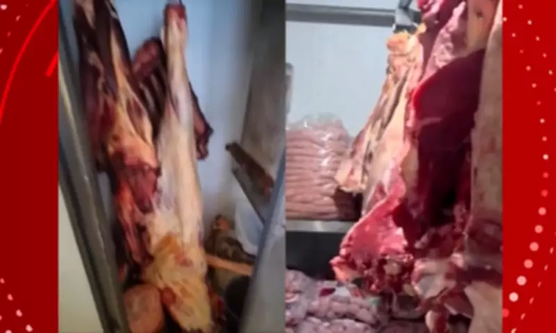 Operação Harpia prende seis suspeitos de esquema milionário de furto de gado na Bahia