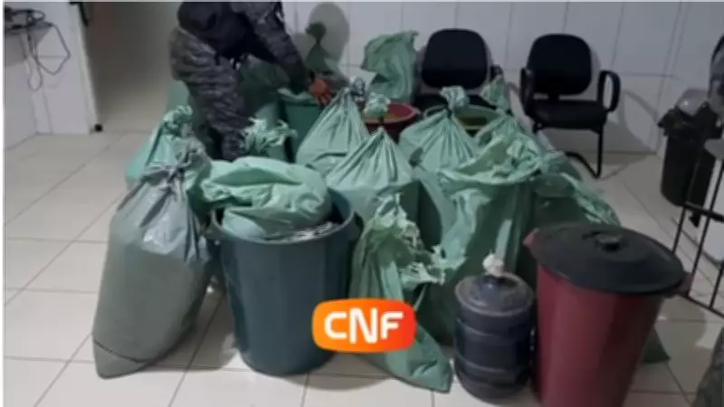 Operação policial apreende 241 kg de maconha e prende dois suspeitos em Caruaru