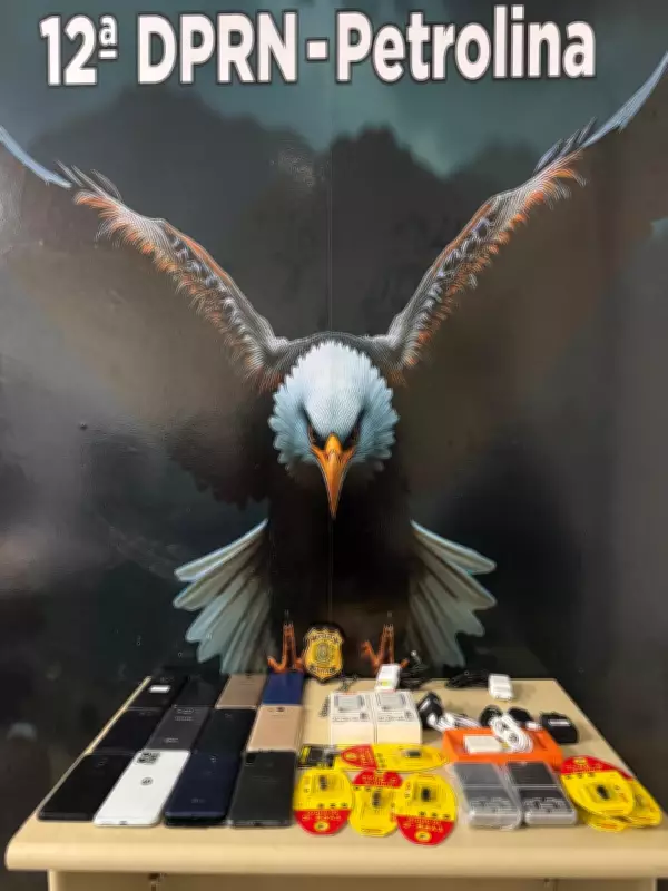 Operação policial apreende drogas e celulares destinados a presídio em Petrolina