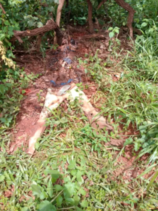 Ossada Humana é Encontrada em Zona Rural de Papagaios, Minas Gerais