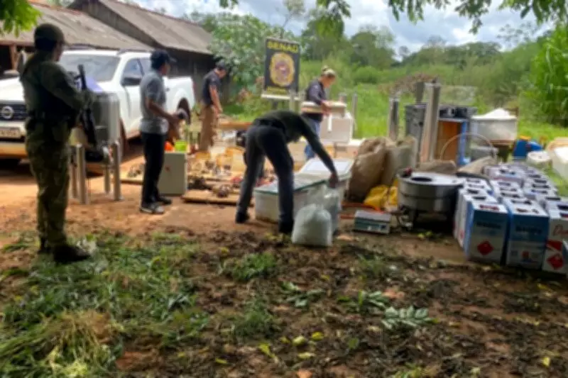 Paraguai desarticula acampamento de produção de maconha premium na fronteira com Brasil