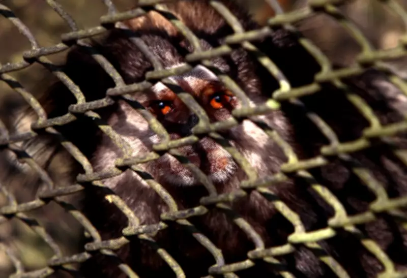 Parque Ecológico Cotia Pará em Cubatão passa por revitalização com previsão para 2026