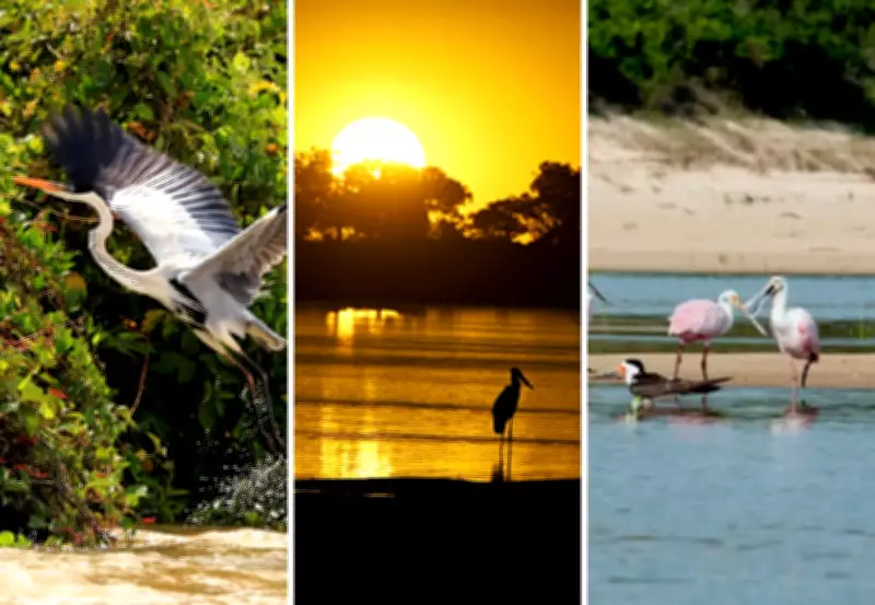 Parque Estadual do Cantão no Tocantins pode se tornar polo de ecoturismo com revisão de plano
