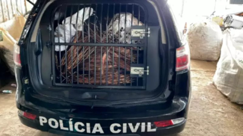 PCDF lança canal de denúncias anônimas para combater furto de cabos de energia no DF