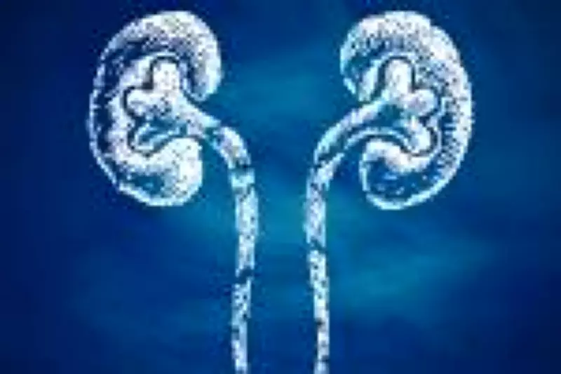 Pedras nos Rins: O Perigo Silencioso que Aumenta no Calor e Desafia o SUS