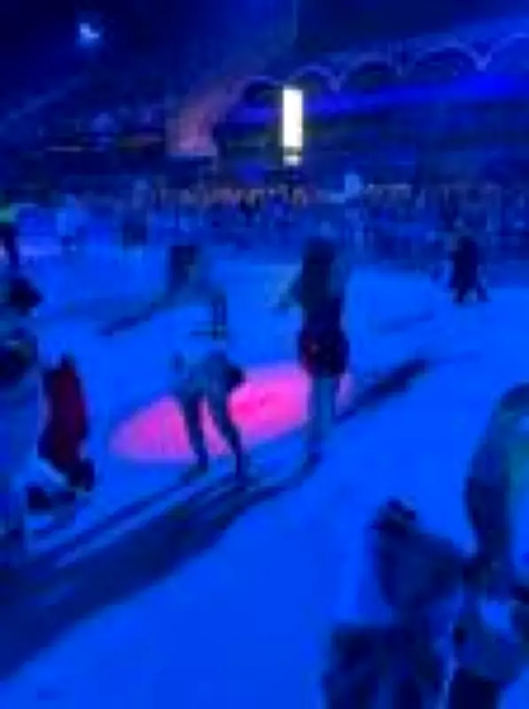 Penetras invadem pista da Sapucaí para selfies durante desfiles do Carnaval