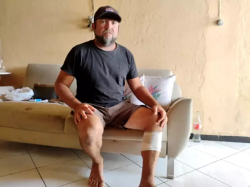 Pescador de 43 anos é atacado por jacaré em riacho de Porto da Folha, Sergipe