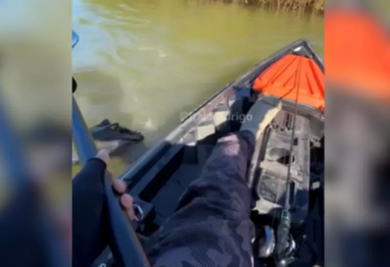 Pescador enfrenta jacaré gigante com remo em Tocantins e vídeo viraliza
