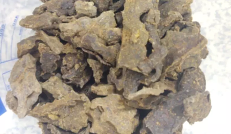 Pesquisa da USP revela que própolis verde pode combater Alzheimer e Parkinson