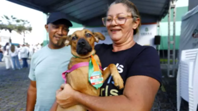 Pet Ceará Móvel oferece castração gratuita no carnaval de Fortaleza