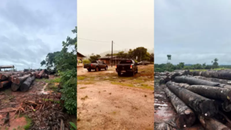 PF desarticula esquema de desmatamento ilegal em Terra Indígena de Rondônia