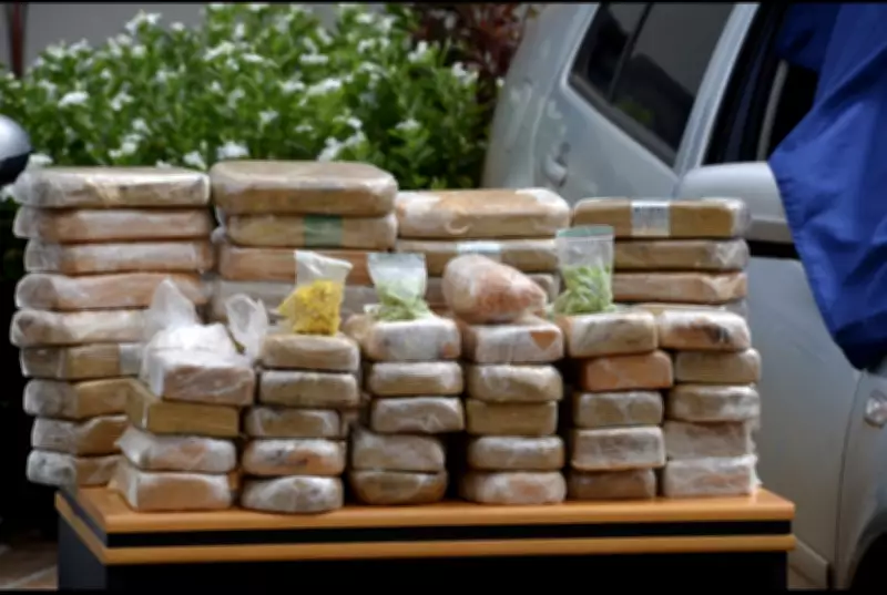 PF e PM fecham laboratório clandestino de cocaína no Distrito Federal