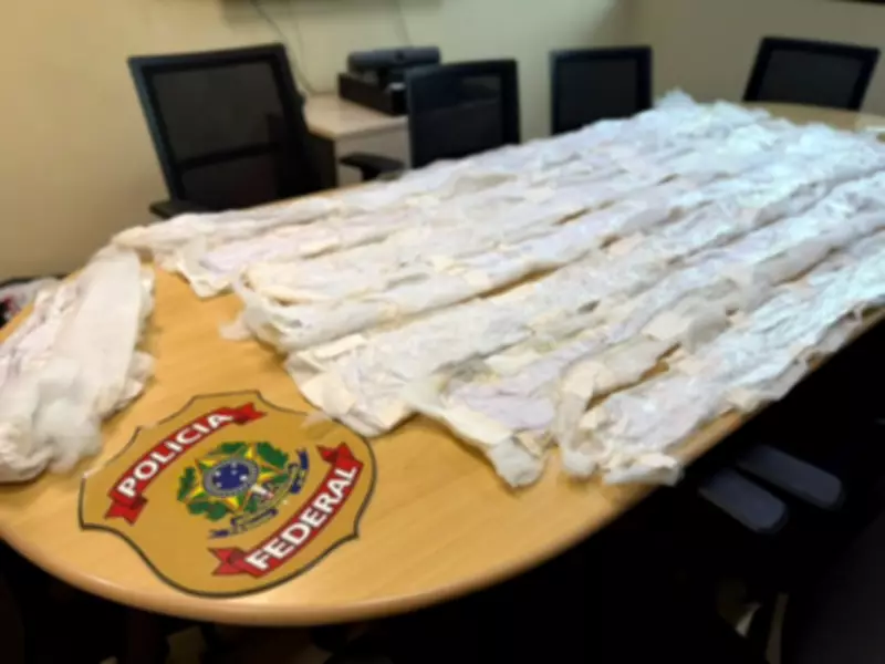 PF prende suspeitos por tentar enviar cocaína líquida em edredons para Austrália