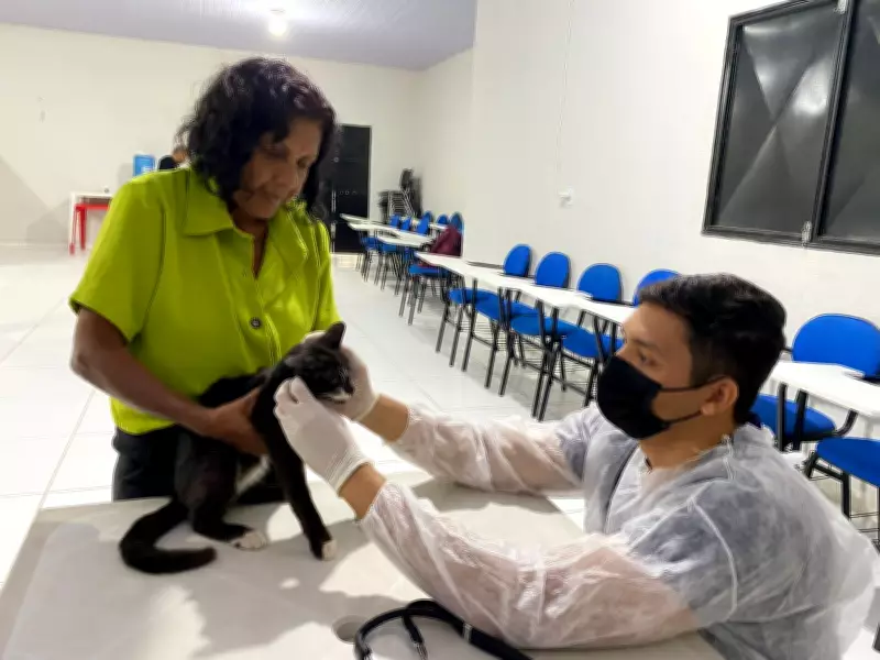 Piauí autoriza seleção de ONGs para acolher animais vítimas de maus-tratos